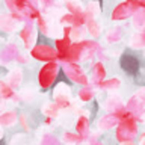 Meet your Posher, Jimena